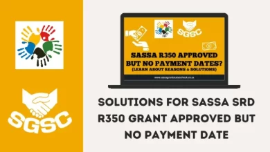 sassa-r350-approved-but-no-payment-date?-–-reasons-&-solutions