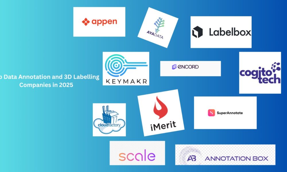 15-best-data-annotation-and-3d-labelling-companies-in-2025