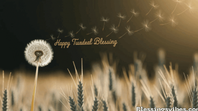 200+-happy-tuesday-blessings-images-and-quotes